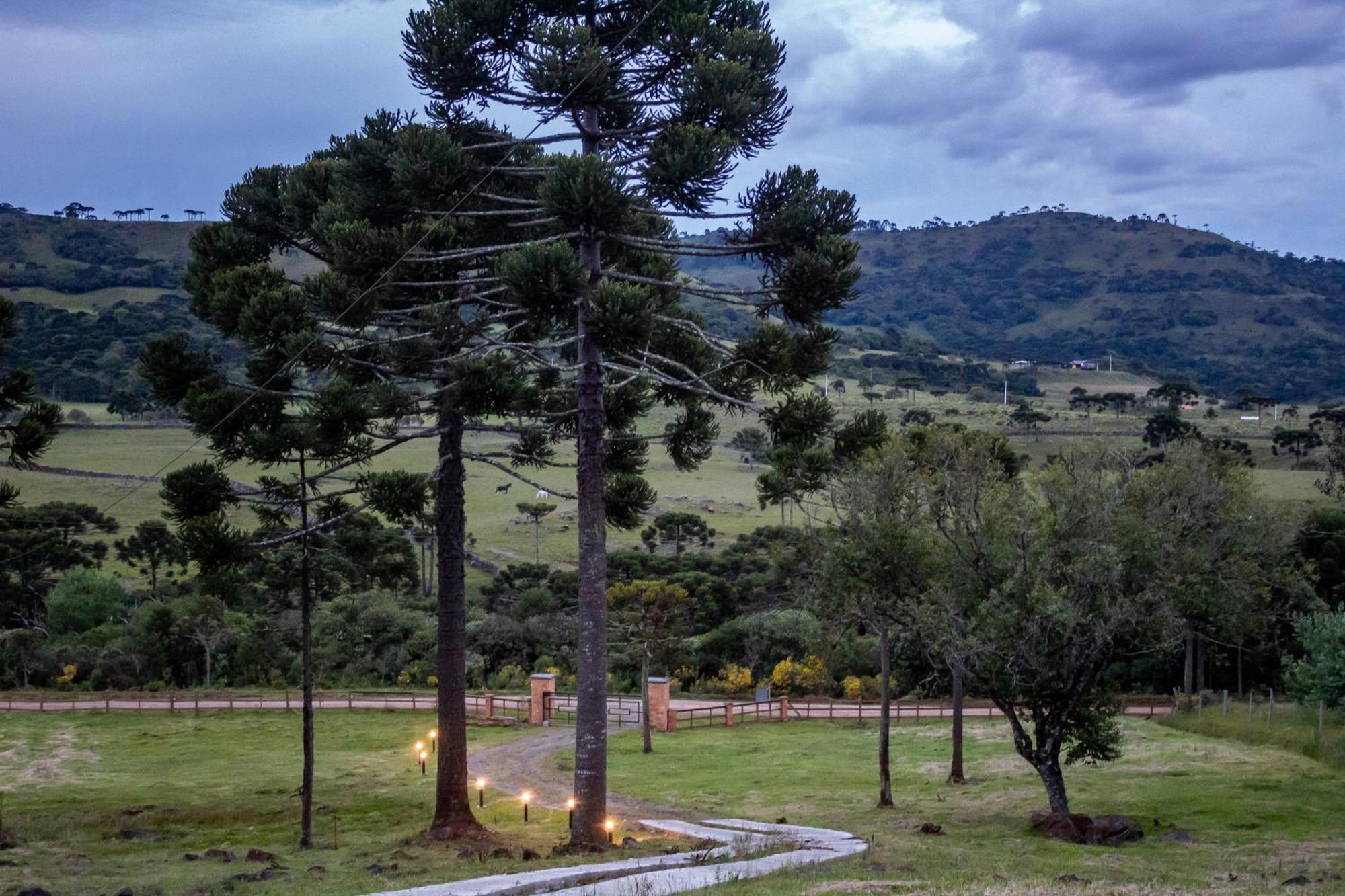 Casas Rainha Da Serra 01 E 02 Dorm Com Cozinha E Fogo De Chao Urubici Dış mekan fotoğraf
